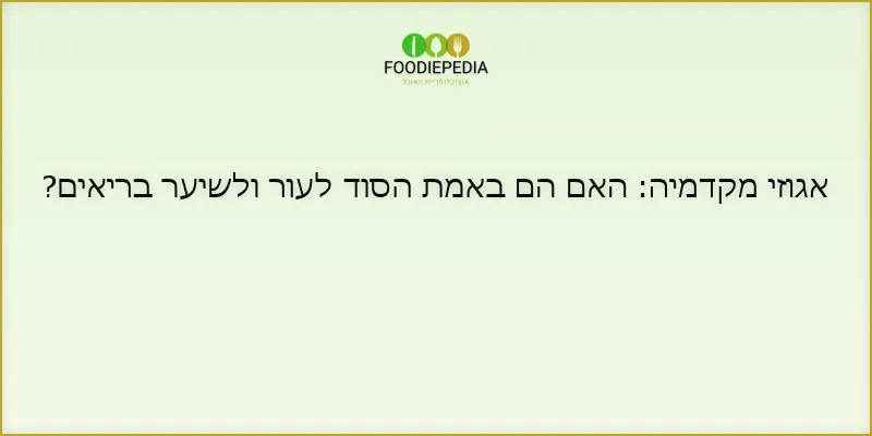 אגוזי מקדמיה: האם הם באמת הסוד לעור ולשיער בריאים?
