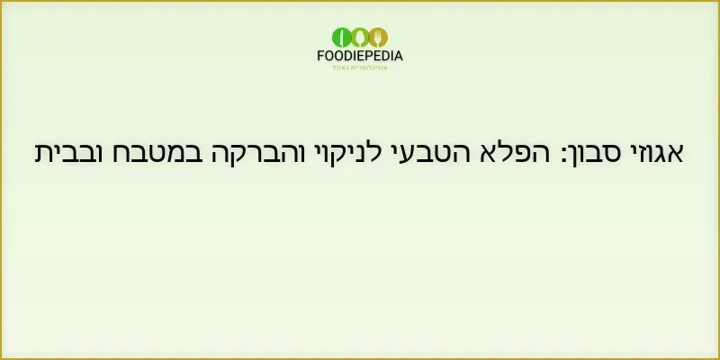 אגוזי סבון: הפלא הטבעי לניקוי והברקה במטבח ובבית
