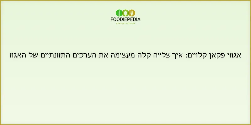אגוזי פקאן קלויים: איך צלייה קלה מעצימה את הערכים התזונתיים של האגוז