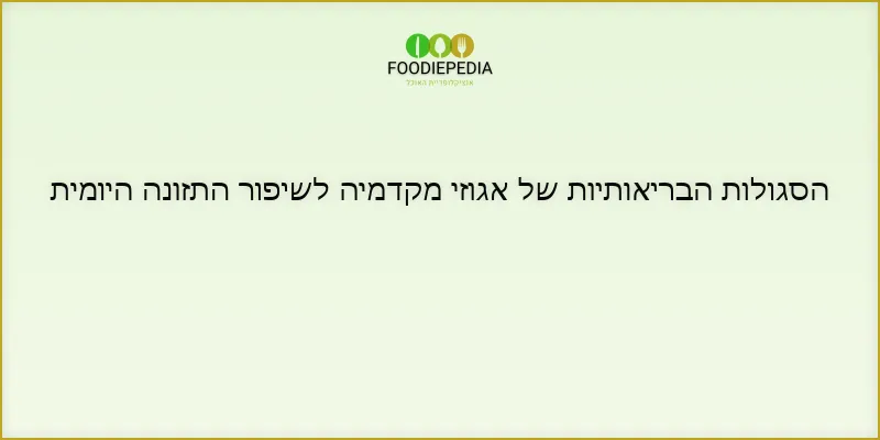 הסגולות הבריאותיות של אגוזי מקדמיה לשיפור התזונה היומית