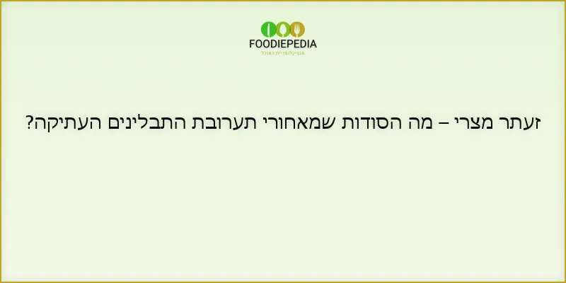 זעתר מצרי – מה הסודות שמאחורי תערובת התבלינים העתיקה?