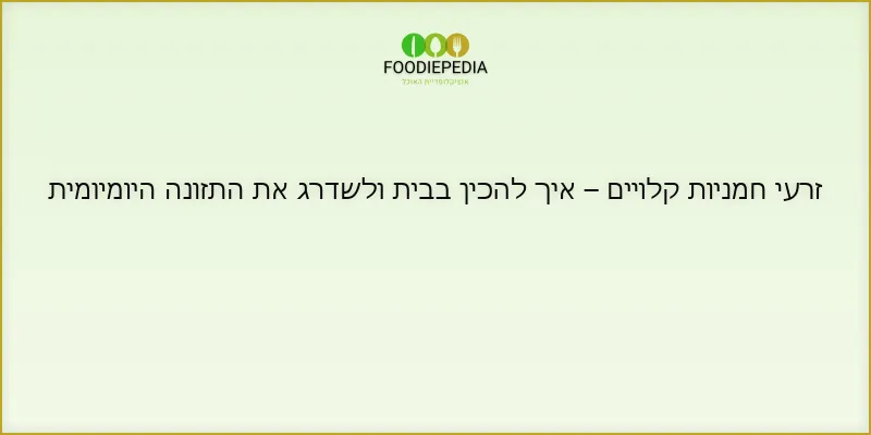 זרעי חמניות קלויים – איך להכין בבית ולשדרג את התזונה היומיומית