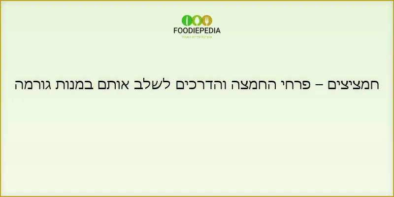 חמציצים – פרחי החמצה והדרכים לשלב אותם במנות גורמה
