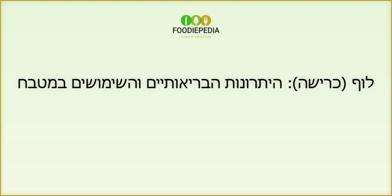 לוף (כרישה): היתרונות הבריאותיים והשימושים במטבח