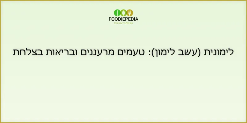 לימונית (עשב לימון): טעמים מרעננים ובריאות בצלחת