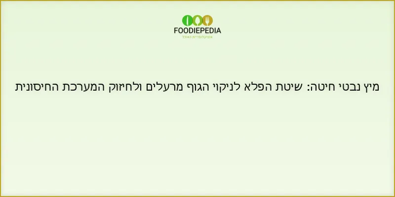 מיץ נבטי חיטה: שיטת הפלא לניקוי הגוף מרעלים ולחיזוק המערכת החיסונית