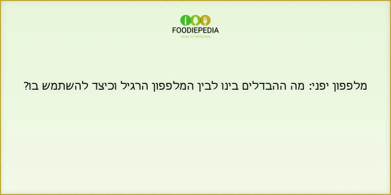 מלפפון יפני: מה ההבדלים בינו לבין המלפפון הרגיל וכיצד להשתמש בו?