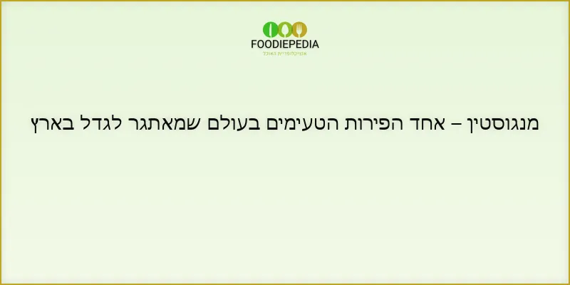 מנגוסטין – אחד הפירות הטעימים בעולם שמאתגר לגדל בארץ
