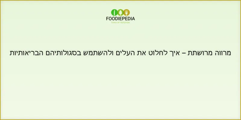 מרווה מרושתת – איך לחלוט את העלים ולהשתמש בסגולותיהם הבריאותיות