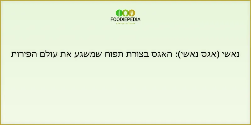 נאשי (אגס נאשי): האגס בצורת תפוח שמשגע את עולם הפירות