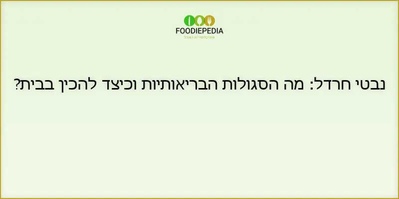 נבטי חרדל: מה הסגולות הבריאותיות וכיצד להכין בבית?