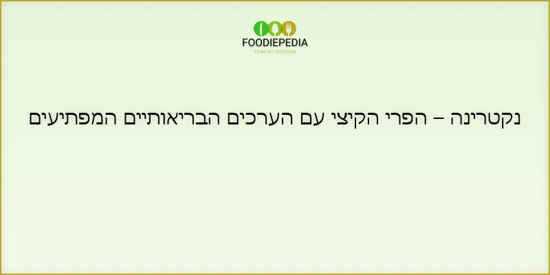 נקטרינה – הפרי הקיצי עם הערכים הבריאותיים המפתיעים