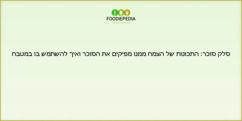 סלק סוכר: התכונות של הצמח ממנו מפיקים את הסוכר ואיך להשתמש בו במטבח