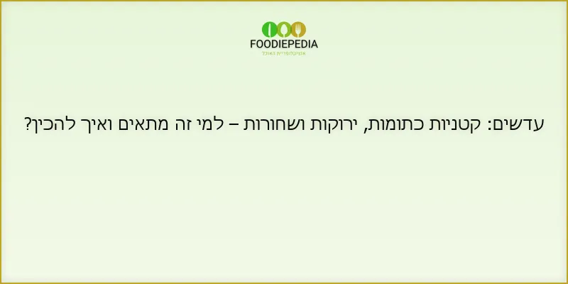 עדשים: קטניות כתומות, ירוקות ושחורות – למי זה מתאים ואיך להכין?