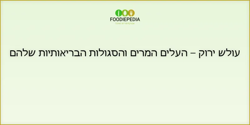עולש ירוק – העלים המרים והסגולות הבריאותיות שלהם