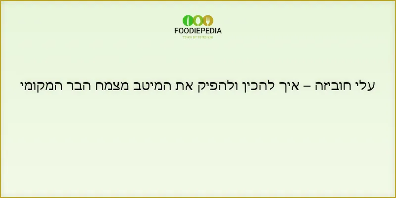 עלי חוביזה – איך להכין ולהפיק את המיטב מצמח הבר המקומי