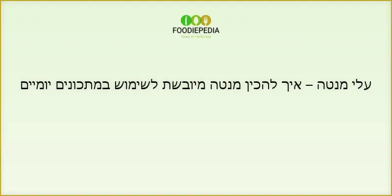 עלי מנטה – איך להכין מנטה מיובשת לשימוש יומיומי