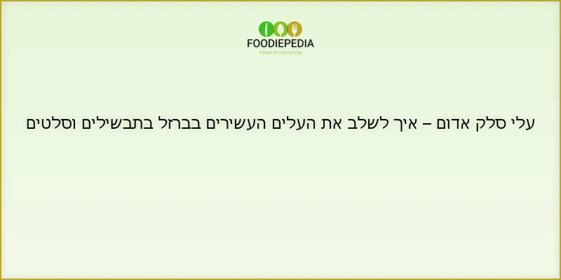 עלי סלק אדום – איך לשלב את העלים העשירים בברזל בתבשילים וסלטים