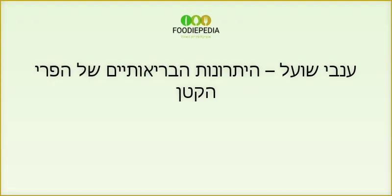 ענבי שועל – היתרונות הבריאותיים של הפרי הקטן