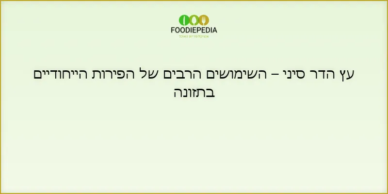עץ הדר סיני – השימושים הרבים של הפירות הייחודיים בתזונה