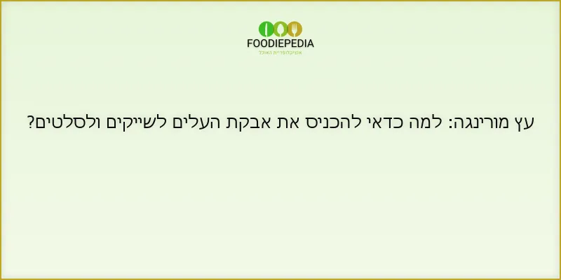 עץ מורינגה: למה כדאי להכניס את אבקת העלים לשייקים ולסלטים?