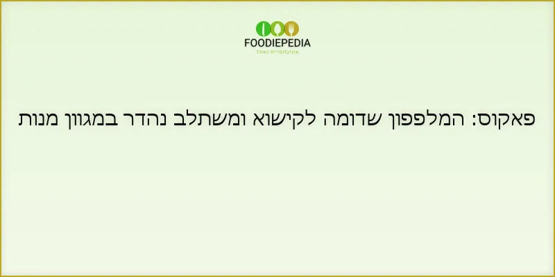 פאקוס: המלפפון שדומה לקישוא ומשתלב נהדר במגוון מנות