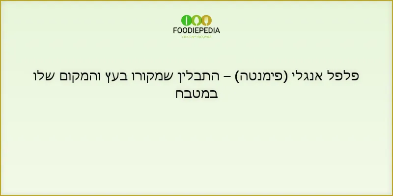 פלפל אנגלי (פימנטה) – התבלין שמקורו בעץ והמקום שלו במטבח