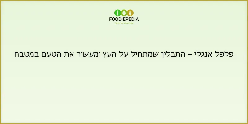פלפל אנגלי – התבלין שמתחיל על העץ ומעשיר את הטעם במטבח