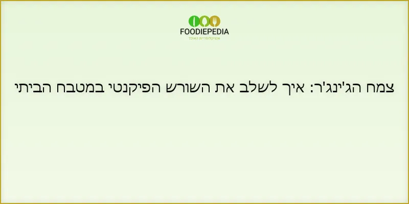 צמח הג’ינג’ר: איך לשלב את השורש הפיקנטי במטבח הביתי