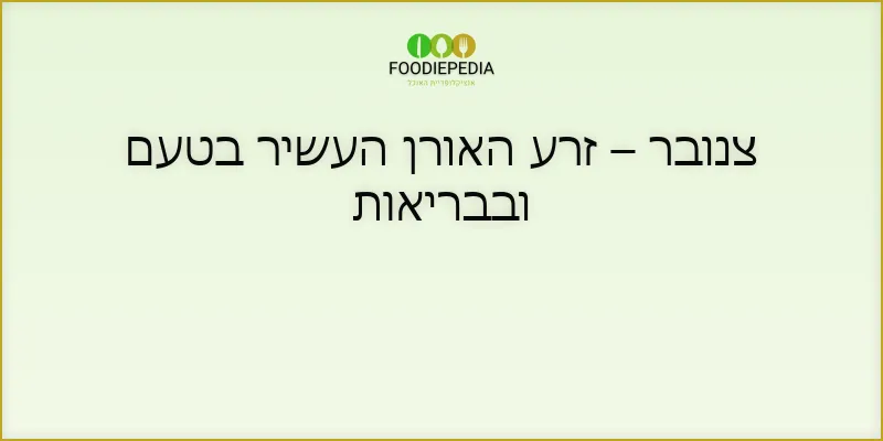 צנובר – זרע האורן העשיר בטעם ובבריאות