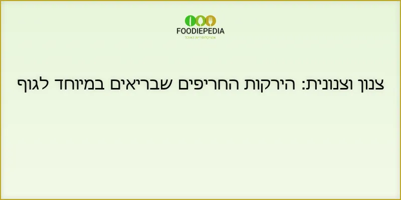 צנון וצנונית: הירקות החריפים שבריאים במיוחד לגוף
