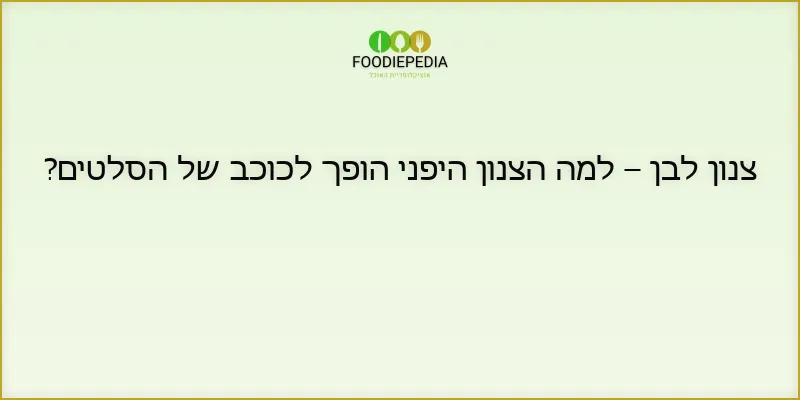 צנון לבן – למה הצנון היפני הופך לכוכב של הסלטים?