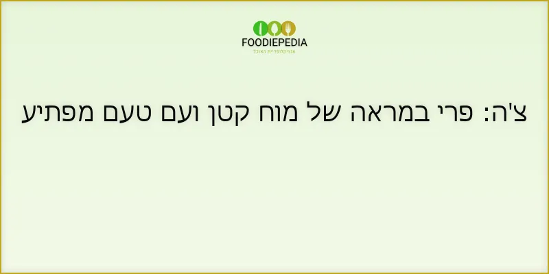 צ’ה: פרי במראה של מוח קטן ועם טעם מפתיע