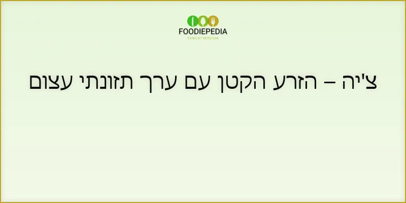 צ’יה – הזרע הקטן עם ערך תזונתי עצום