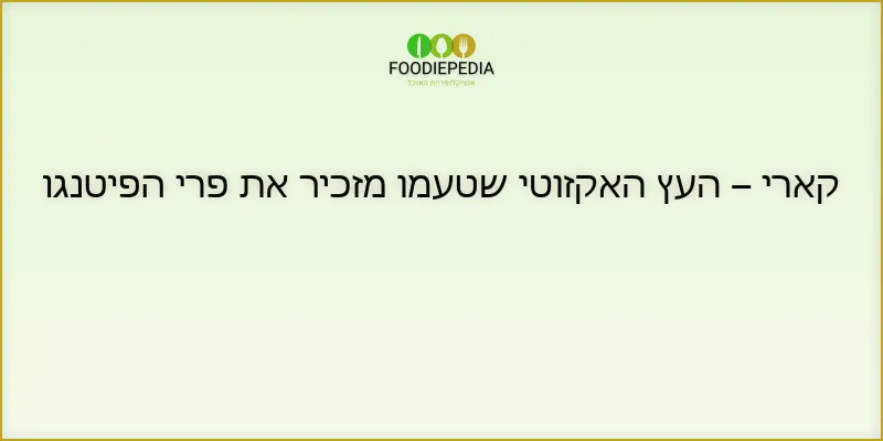 קארי – העץ האקזוטי שטעמו מזכיר את פרי הפיטנגו