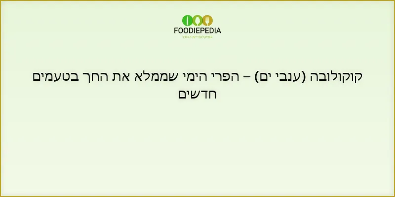 קוקולובה (ענבי ים) – הפרי הימי שממלא את החך בטעמים חדשים