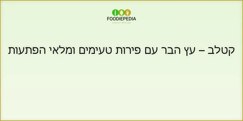 קטלב – עץ הבר עם פירות טעימים ומלאי הפתעות
