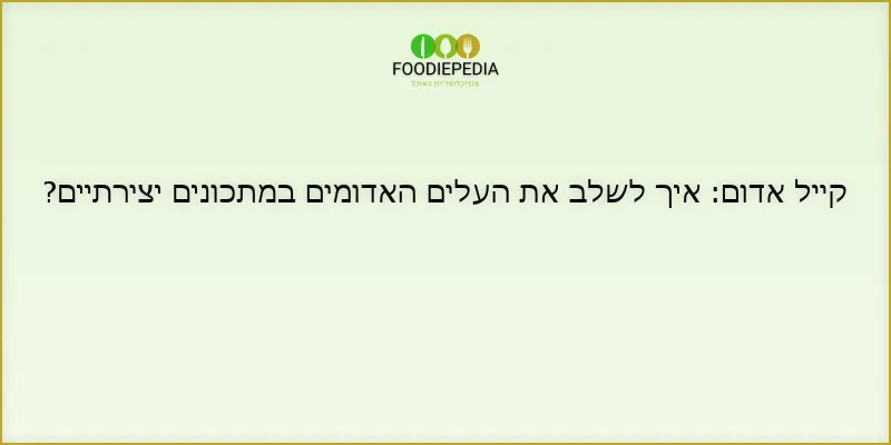 קייל אדום: איך לשלב את העלים האדומים במתכונים יצירתיים?