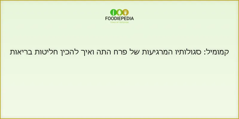 קמומיל: סגולותיו המרגיעות של פרח התה ואיך להכין חליטות בריאות
