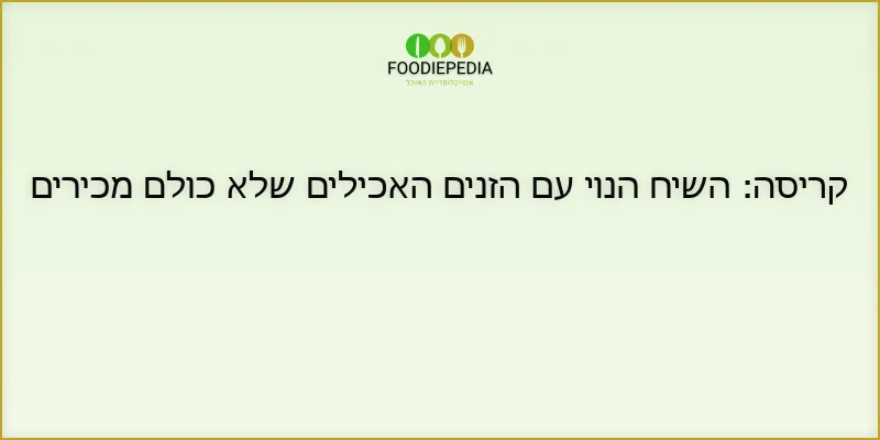 קריסה: השיח הנוי עם הזנים האכילים שלא כולם מכירים