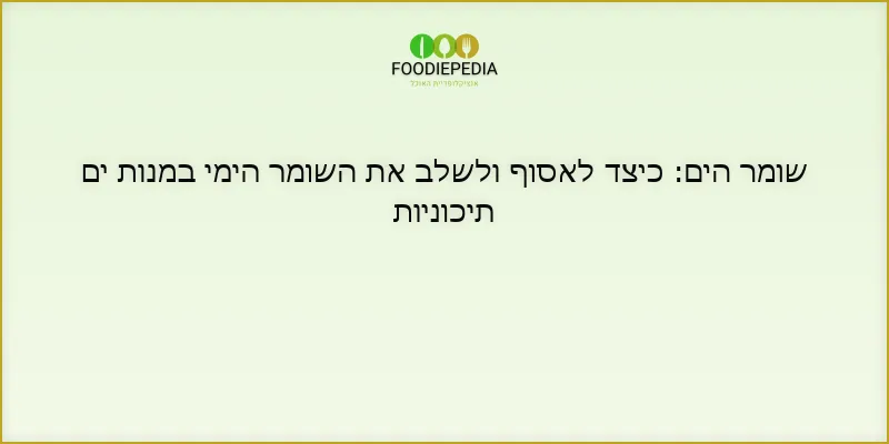 שומר הים: כיצד לאסוף ולשלב את השומר הימי במנות ים תיכוניות