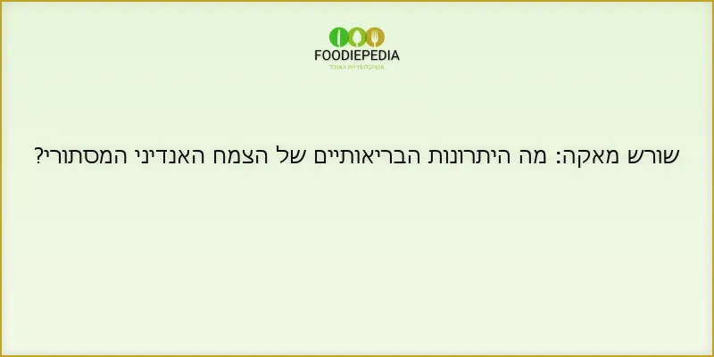 שורש מאקה: מה היתרונות הבריאותיים של הצמח האנדיני המסתורי?