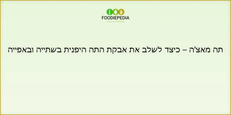 תה מאצ’ה – כיצד לשלב את אבקת התה היפנית בשתייה ובאפייה
