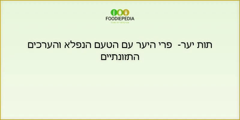 תות יער- פרי היער עם הטעם הנפלא והערכים התזונתיים