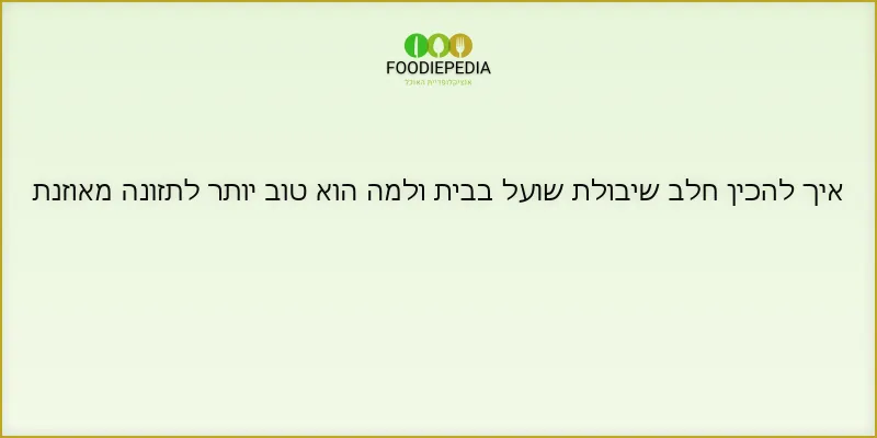 איך להכין חלב שיבולת שועל בבית ולמה הוא טוב יותר לתזונה מאוזנת