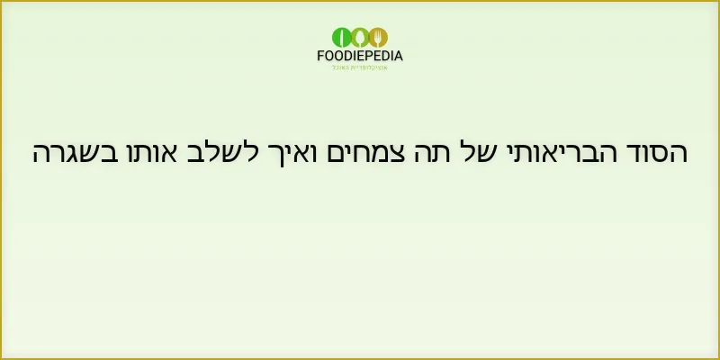 הסוד הבריאותי של תה צמחים ואיך לשלב אותו בשגרה