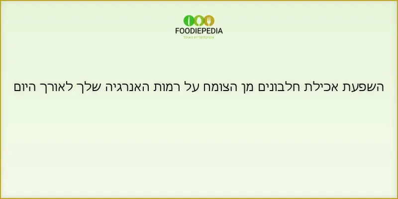 השפעת אכילת חלבונים מן הצומח על רמות האנרגיה שלך לאורך היום