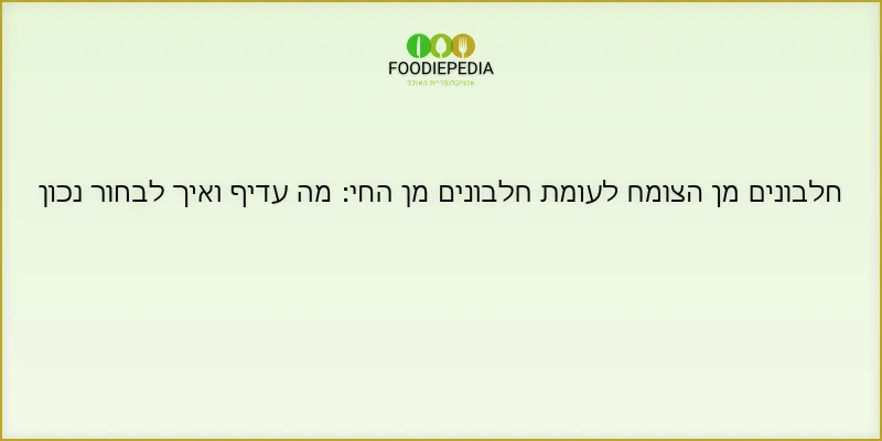 חלבונים מן הצומח לעומת חלבונים מן החי: מה עדיף ואיך לבחור נכון