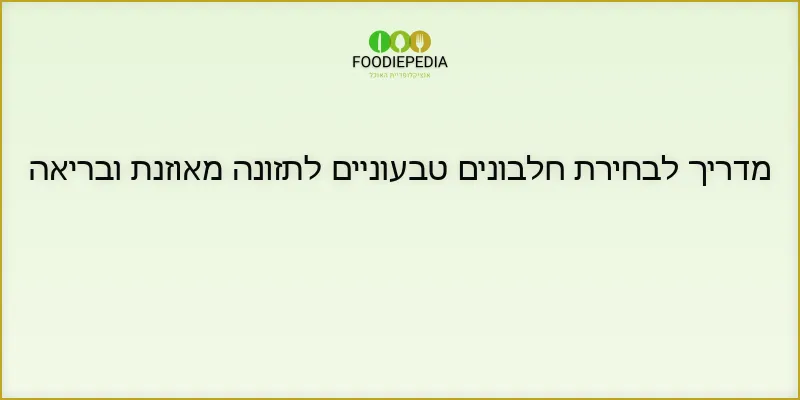 מדריך לבחירת חלבונים טבעוניים לתזונה מאוזנת ובריאה