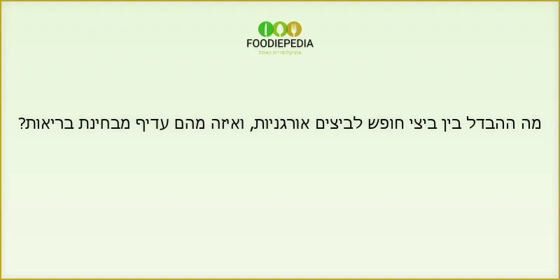 מה ההבדל בין ביצי חופש לביצים אורגניות, ואיזה מהם עדיף מבחינת בריאות?